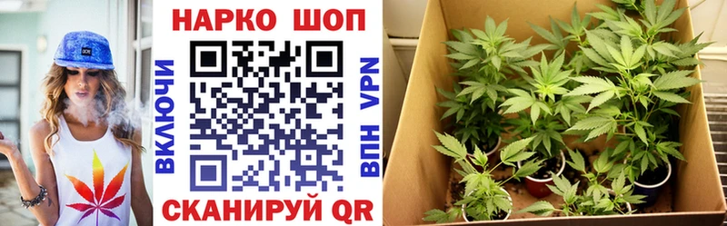 Магазин наркотиков Ленинск-Кузнецкий Cocaine Амфетамин Конопля Мефедрон A PVP