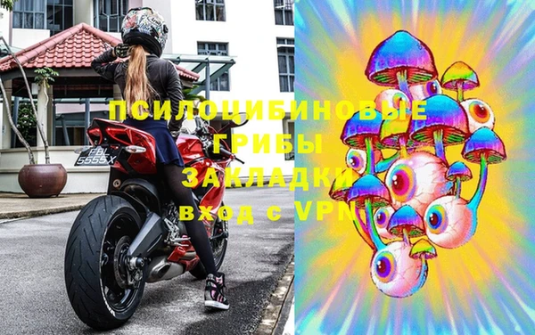 дмт Алзамай