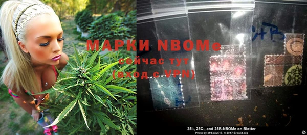 дмт Алзамай